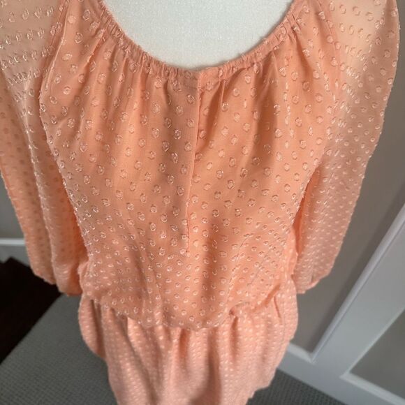 J. Crew peach colored, swiss dot dress with sheer sleeves. - Picture 3 of 6